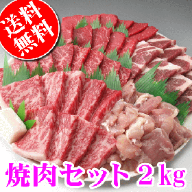 国産 肉 焼肉 焼き肉 バーベキューセット 2kg 送料無料 (沖縄・北海道は別途送料要)