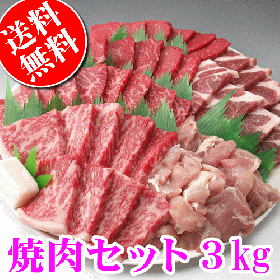 国産お肉のバーベキュー・焼き肉セット3kg(送料無料)