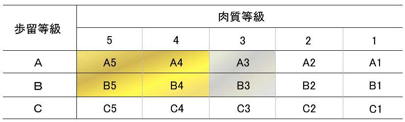 牛歩留り　牛枝肉取引規格