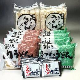 冷凍讃岐うどんバラエティセット　20食入り 別添スープタイプ