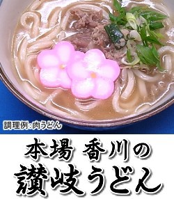 讃岐うどん冷凍肉うどん1食入り